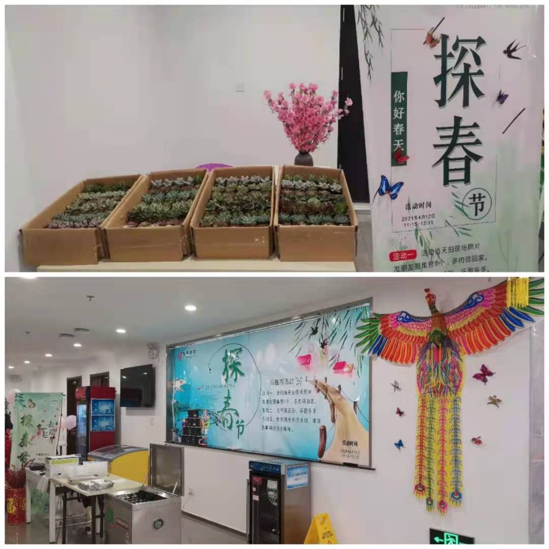 相約在探春節